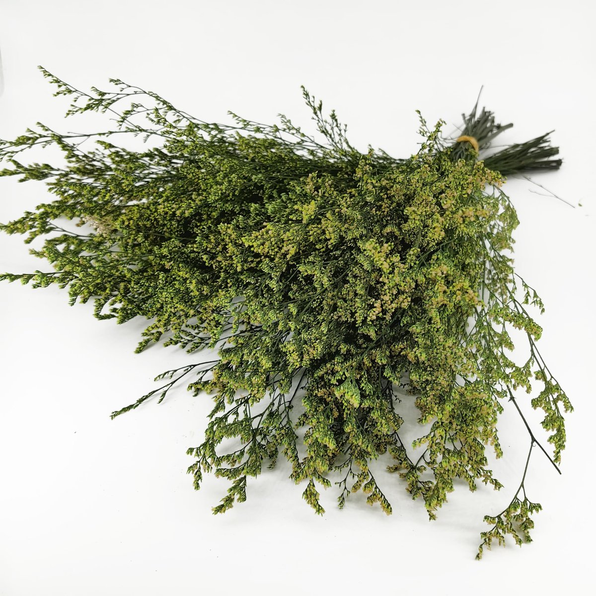 Caspia Statice Bloemboeketten, Natuurlijke Gedroogde Bloemen voor Decoratie