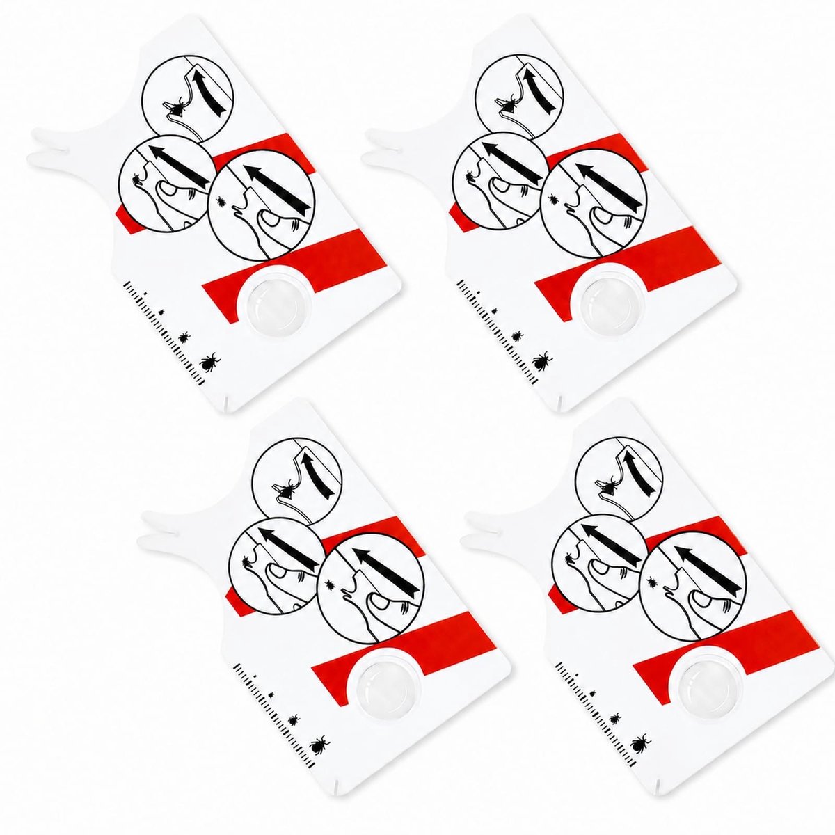 Tekenkaart met vergrootglas - Set van 4 - Compact formaat