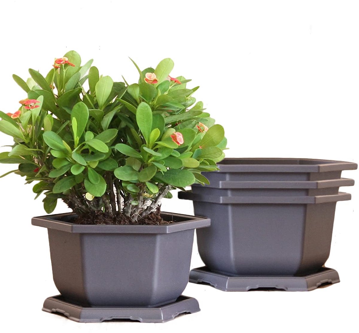 Plastic Bonsai Pot Set - 4 Stuks met Onderzetter - Hexagonaal - 25 x 15 cm