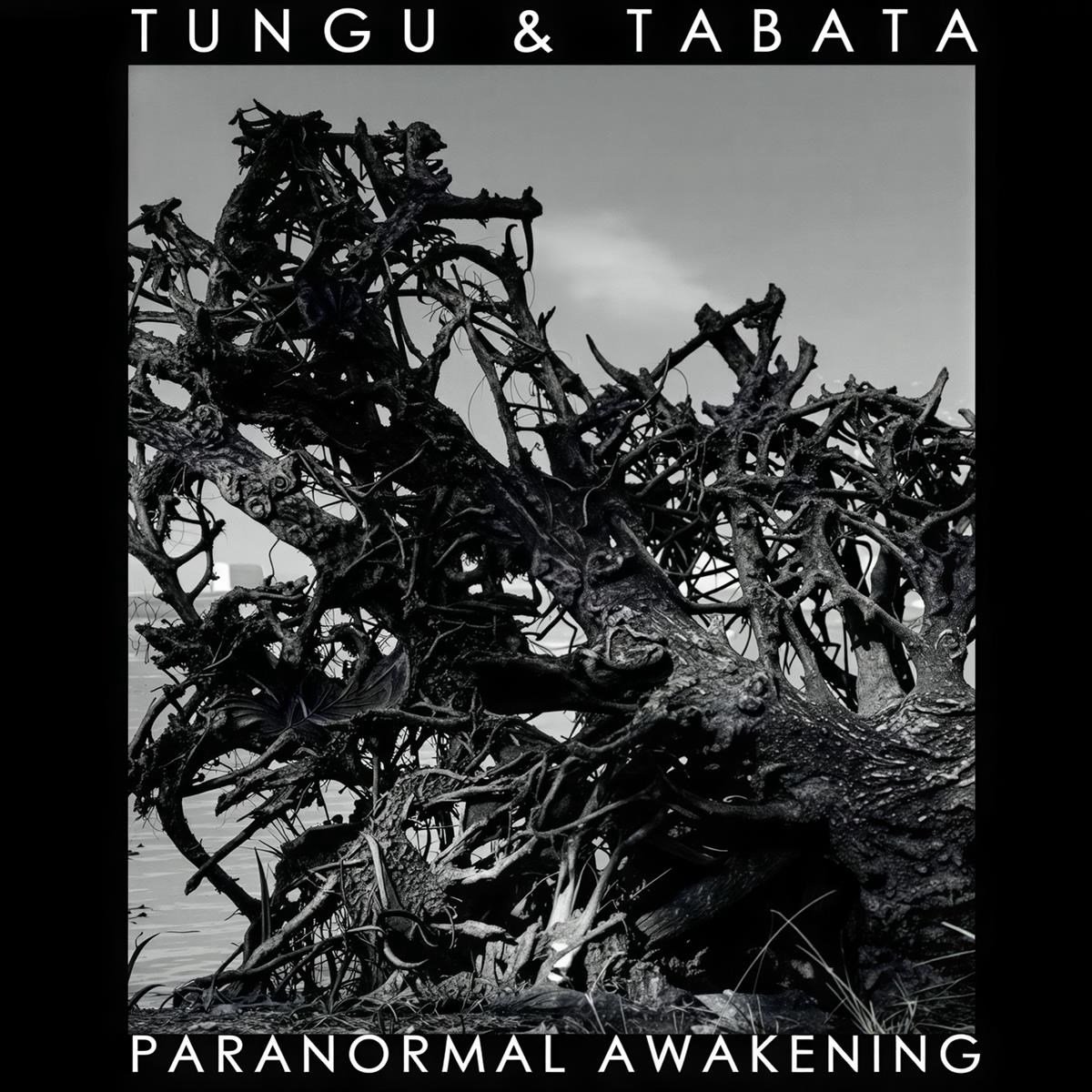 Tungu & Tabata - Paranormal Awakening (CD)