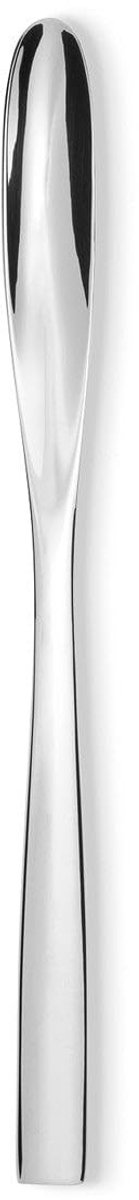 Set van 6 Latte Macchiato Lepels - Gepolijst