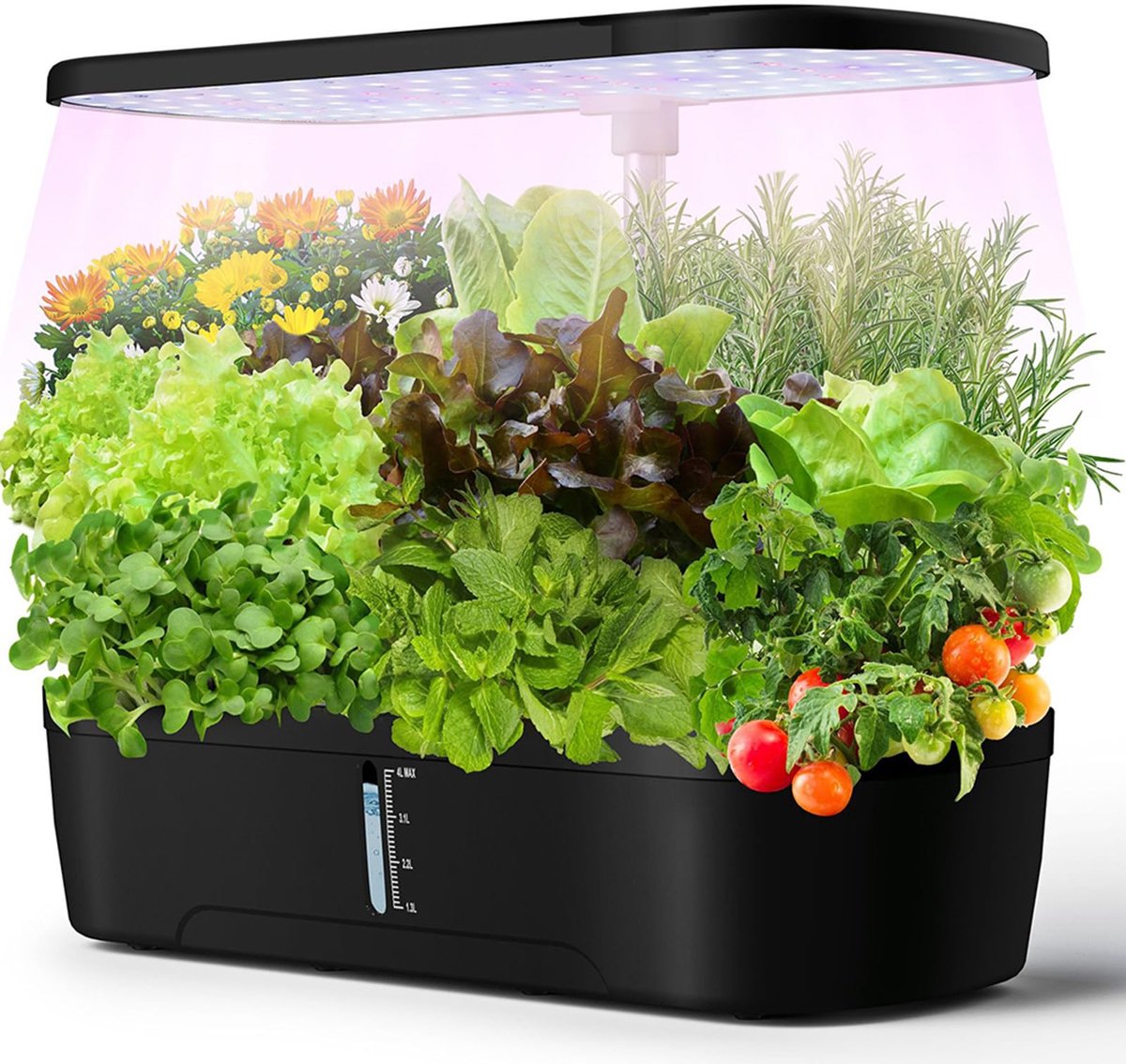 Hydroponisch kweeksysteem - 12 plantplekken, zwart | Slimme tuin, full-spectrum groeilamp, waterreservoir, kweekset zonder aarde