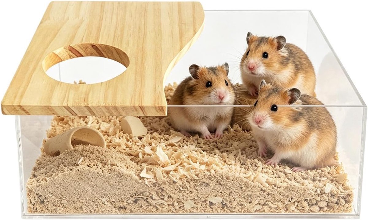 Hamster Badkuip - Hamster Badkamer - Spelen en Baden - Opgeruimde Badruimte - 20 x 15 x 8 cm - Transparant