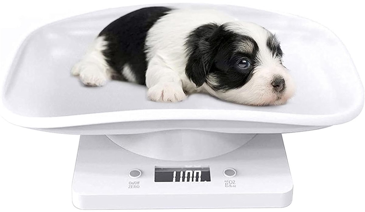 Digitale Huisdierenweegschaal - Kleine Dier Weegschaal - Gezondheid Monitoren - Nauwkeurig met 1G - Max 15kg - Wit