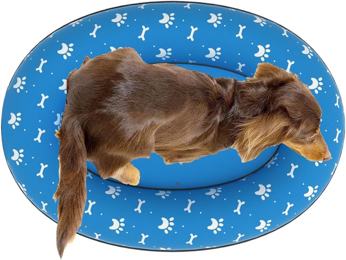 Honden Drijver Zwembad – Opblaasbaar Ligbed – Hond Koel Houden – Antislip Afwerking – 160x110cm – Blauw Honden Drijver Zwembad – Opblaasbaar Ligbed – Hond Koel Houden – Antislip Afwerking – 160x110cm – Blauw