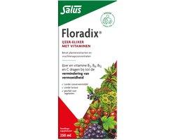Salus Floradix IJzer-elixir - Met Ijzer En Vitamine B12 - 250ML