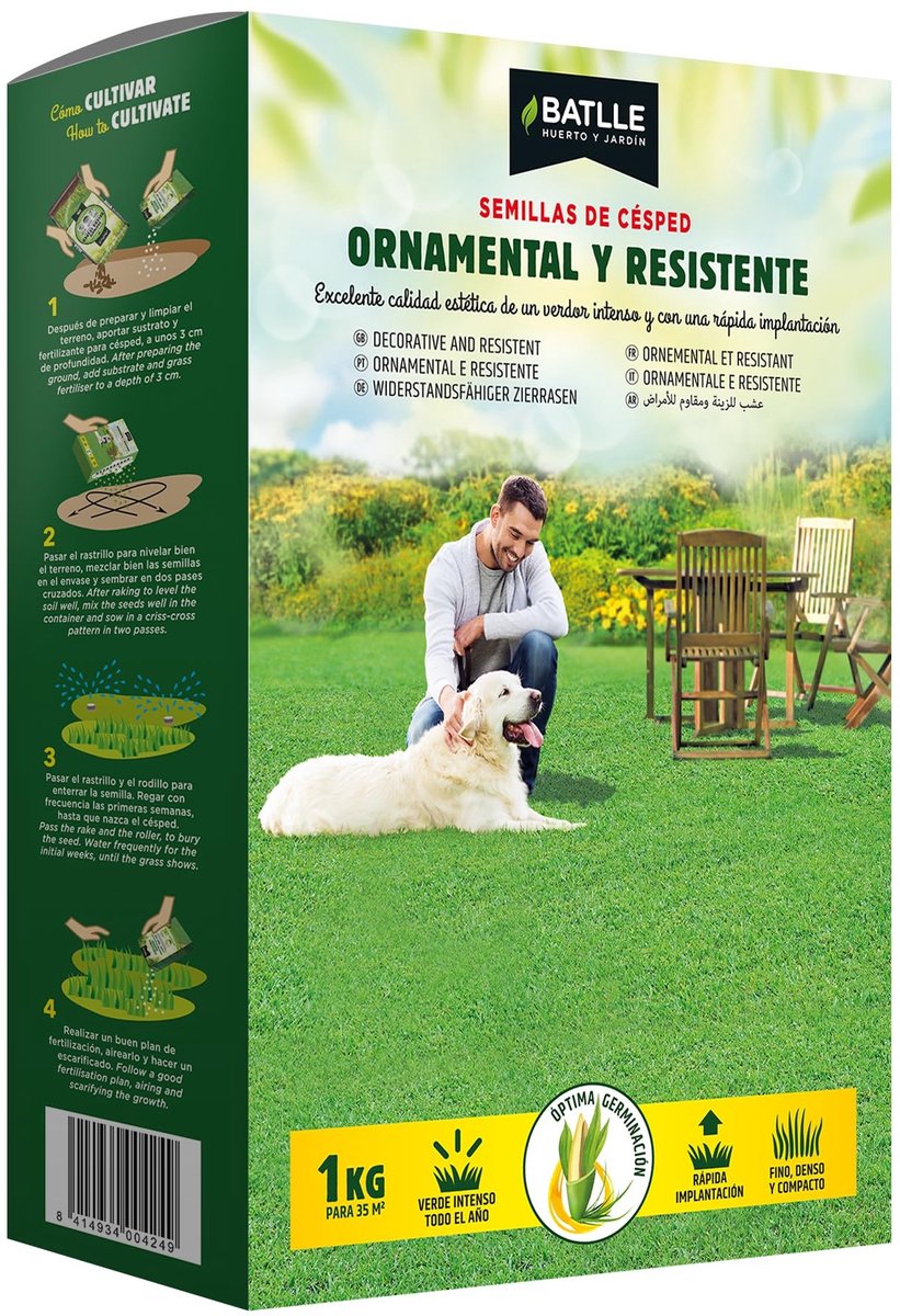 Solidchoice - Ornamentale Grass Zaden, 1 kg