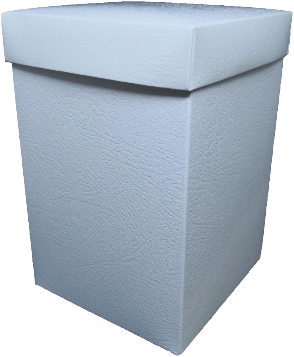 Solidchoice - Set van 20 Vouwdozen met Witte Deksel