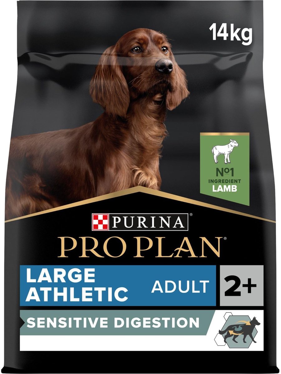 Solidchoice - Droog Hondenvoer voor Grote Actieve Honden met Lam
