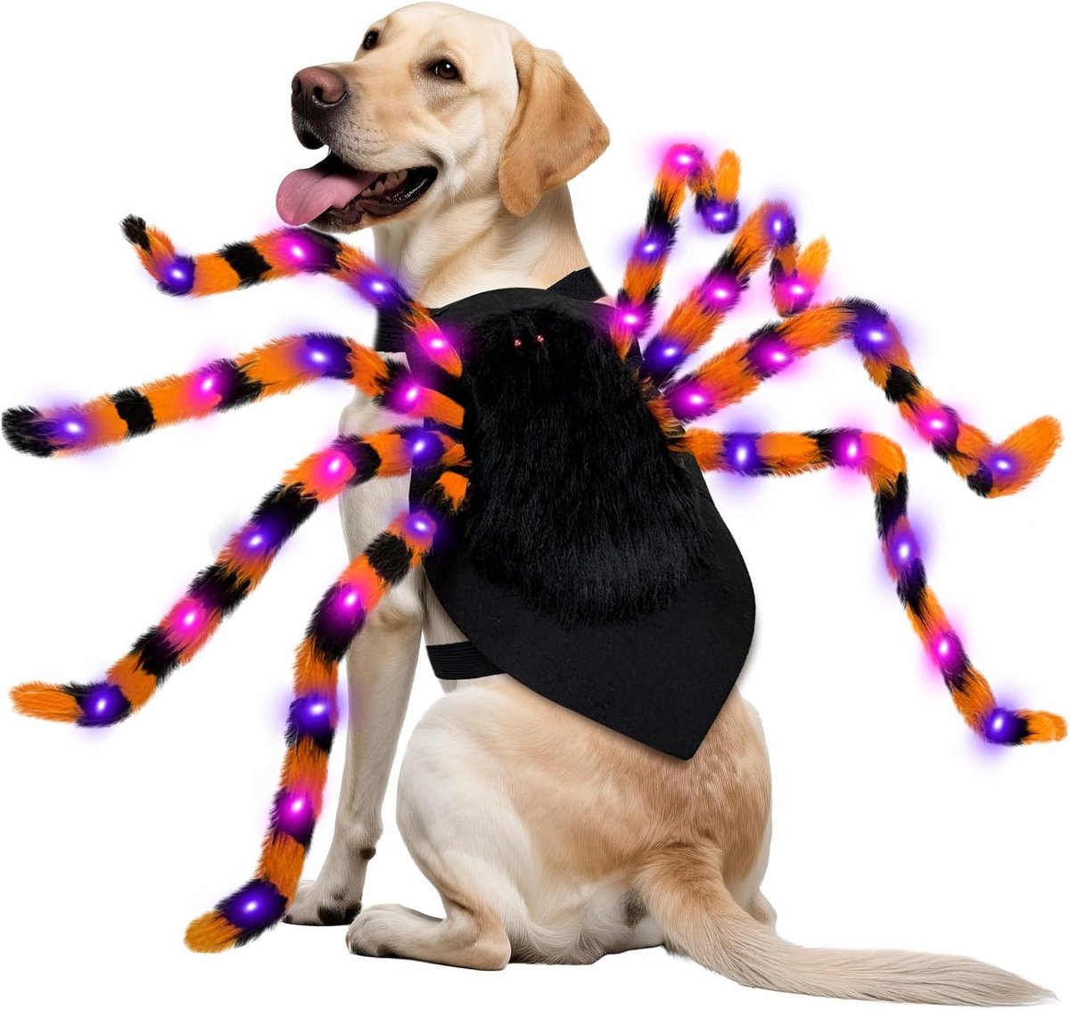 Realistisch spinnenhondenkostuum voor Halloween – Inclusief 64 LED's – Met verstelbare zelfklevende bandjes – 8 lichtstanden – Leuk lichtgevend ontwerp – Halloweenversiering – Geschikt voor hondenparades en foto's – Maat S