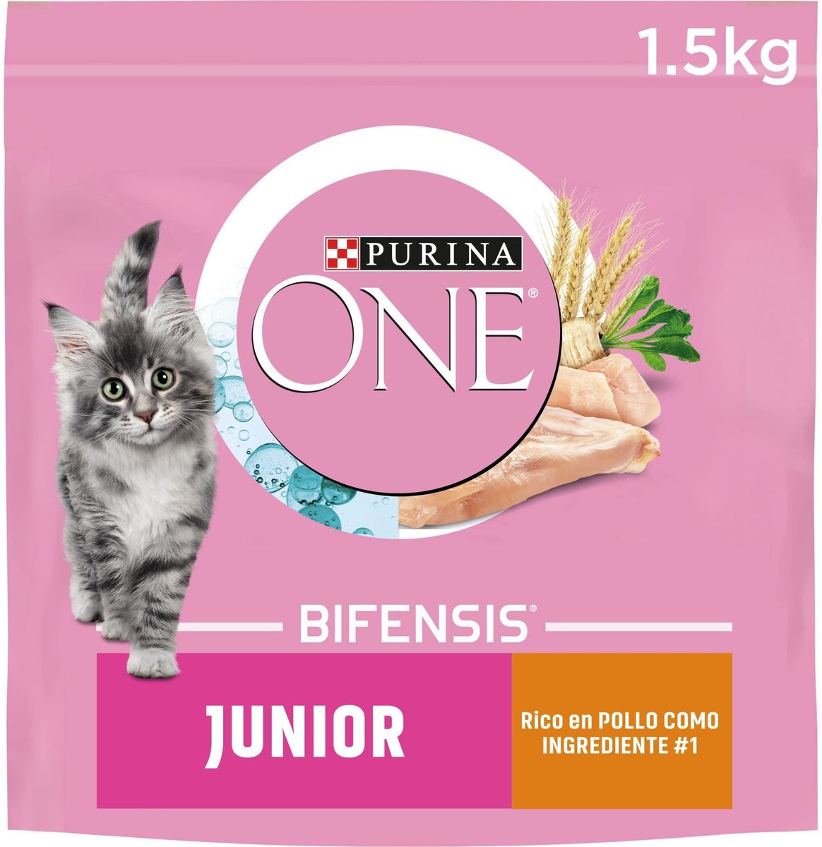 Solidchoice - Droogvoer voor Kitten met Kip en Granen 6 x 1.5 kg