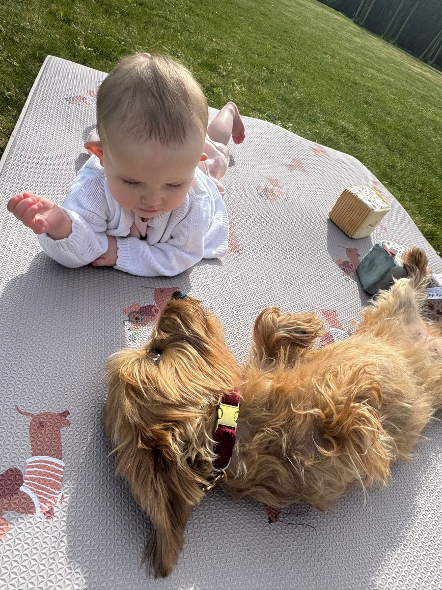 Speelmat baby 100 x 140 cm - zacht, afwasbaar & antibacterieel - geschikt voor binnen en buiten - premium speelmat - Sausage Squad -Dachshund