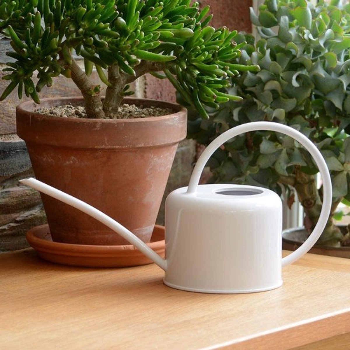 Gieter 1,1 liter - Gieter voor binnen - Verzinkt staal - Lichtgewicht - Modern design - Antislip handgreep - Plantengieter