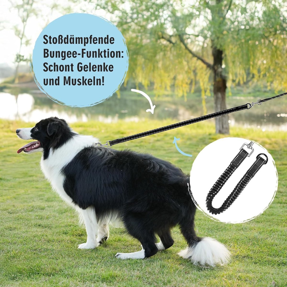 Hondenriem - Zwart - 5 m - Gevoerde Bungee Looplijn met Afneembare Koord - Voor Middelgrote en Grote Honden