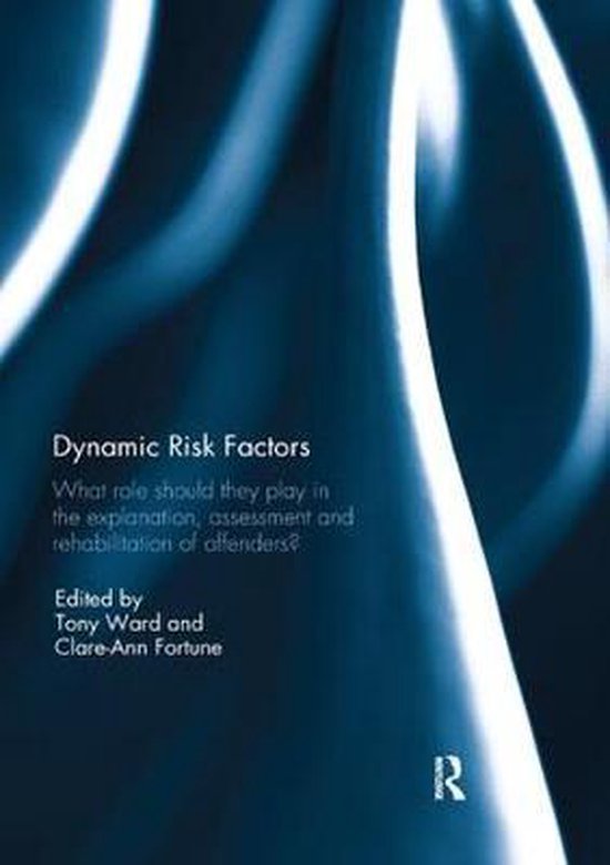 Dynamic Risk Factors | 9780367109561 | Boeken | bol.com