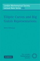 Elliptic Curves and Big Galois Representations