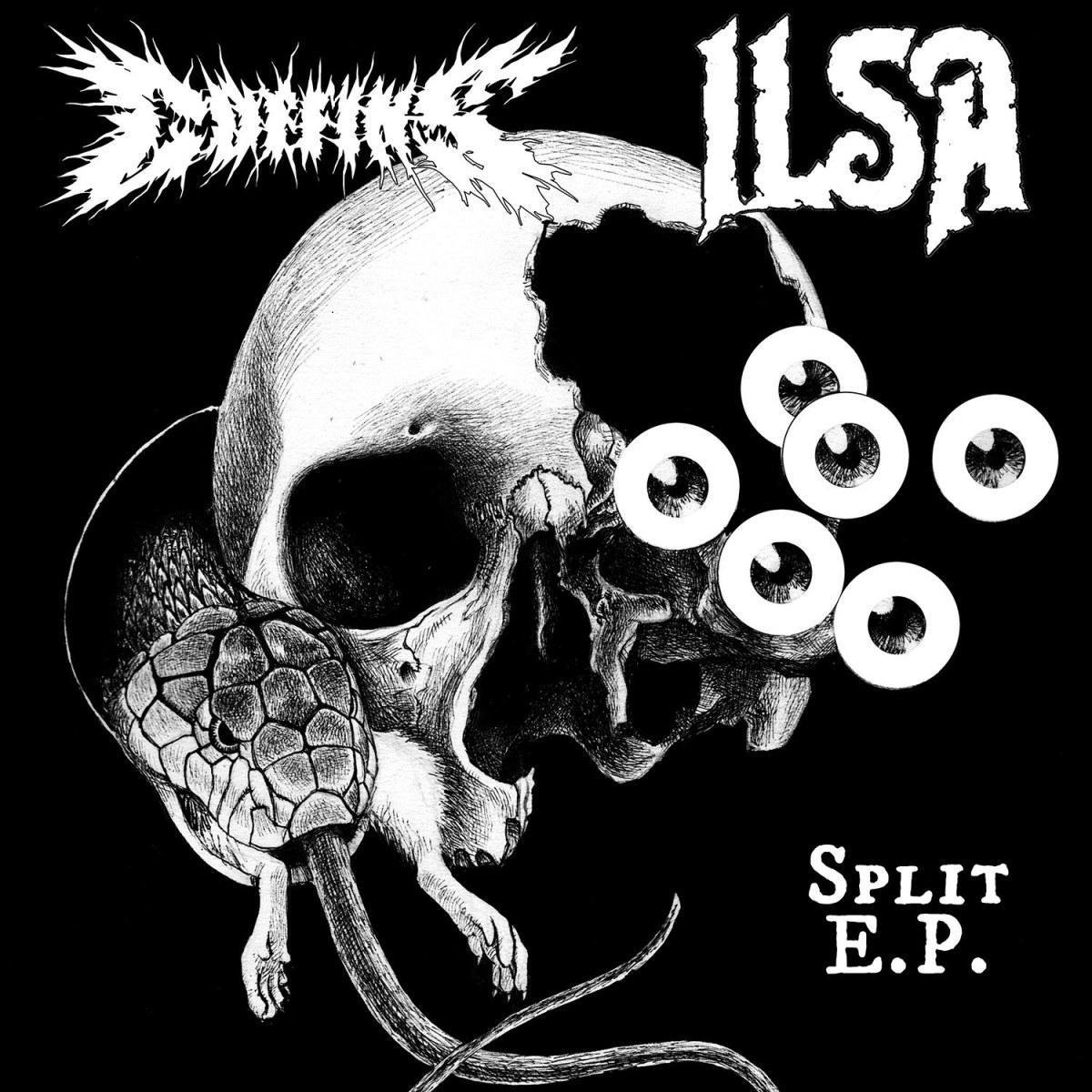 Split Lp