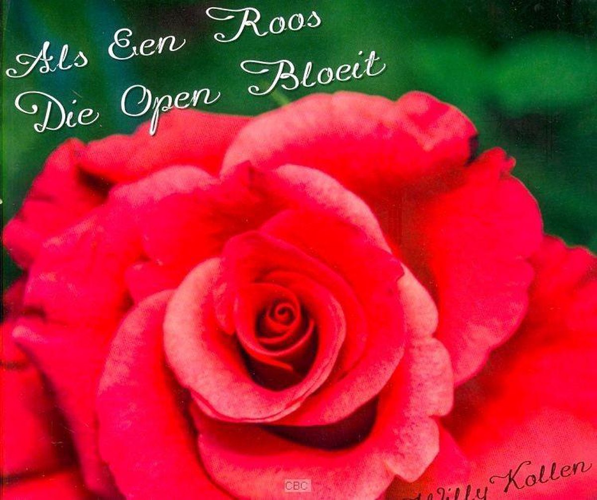 Als Een Roos Die Open Bloeit