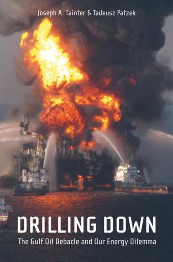 9781441976765 - Drilling Down