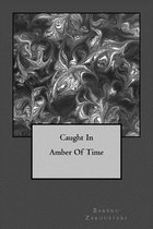 Caught in Amber of Time