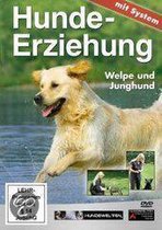 Hundeerziehung Mit  System/Welpe Und Junghund