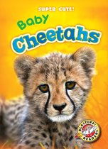 Super Cute! - Baby Cheetahs