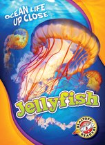 Ocean Life Up Close - Jellyfish