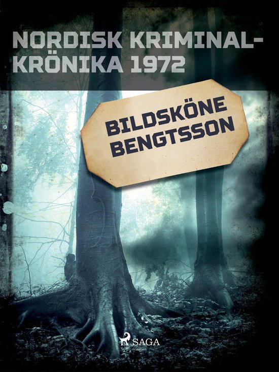 Nordisk kriminalkrönika 70-talet - Bildsköne Bengtsson - cover