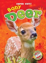 Super Cute! - Baby Deer