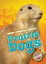 North American Animals - Prairie Dogs