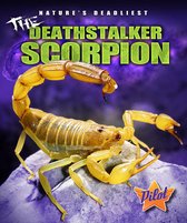 Nature's Deadliest - The Deathstalker Scorpion