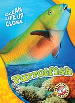 Ocean Life Up Close - Parrotfish