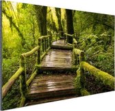 Belle forêt tropicale et jungle Aluminium 120x80 cm - Tirage photo sur aluminium (décoration murale en métal)
