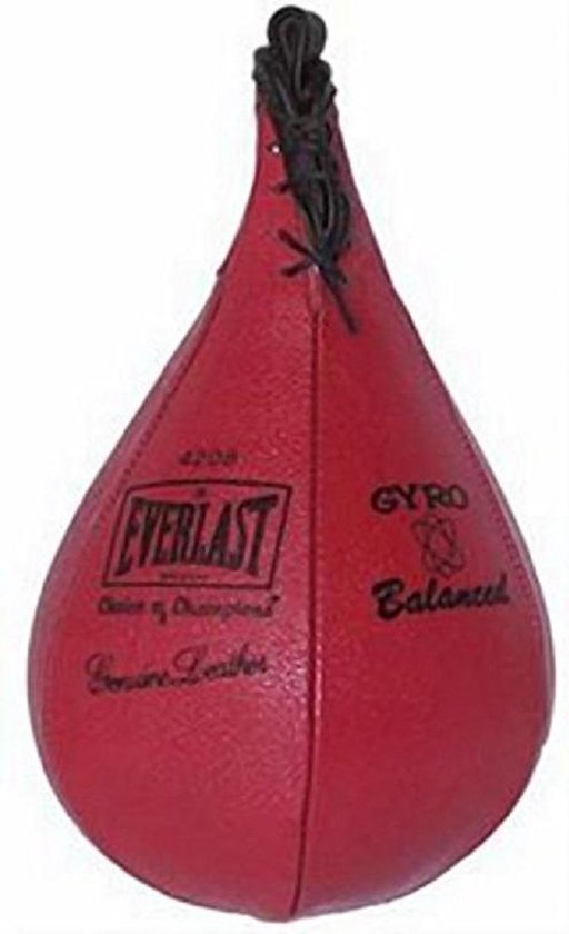 Everlast Speed Bag 4210 | bol.com