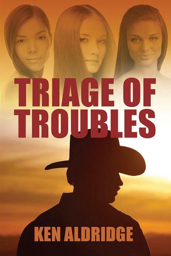 Triage of Troubles - cover