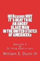 101 Reasons Why It's Okay to Be an Angry Black Man in the United States of Amerikkka