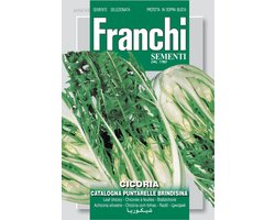 Franchi - Witlof Catalogna Puntarella Brindisina