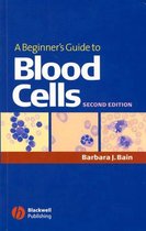 Beginner'S Guide To Blood Cells