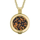 Quiges - Munthouder met Ketting en Munt 25mm Zirkonia Multi - RVS Goudkleurig - EPRHZ274