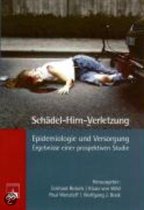 Schädel-Hirn-Verletzung - Epidemiologie und Versorgung