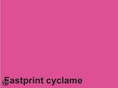 Fastprint Gekleurd Papier A4 80gr FP Cyclaam