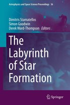 Astrophysics and Space Science Proceedings 36 - The Labyrinth of Star Formation