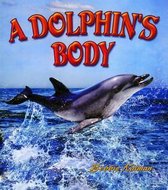 A Dolphin's Body