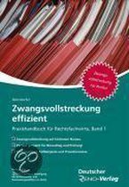 Zwangsvollstreckung Effizient 1