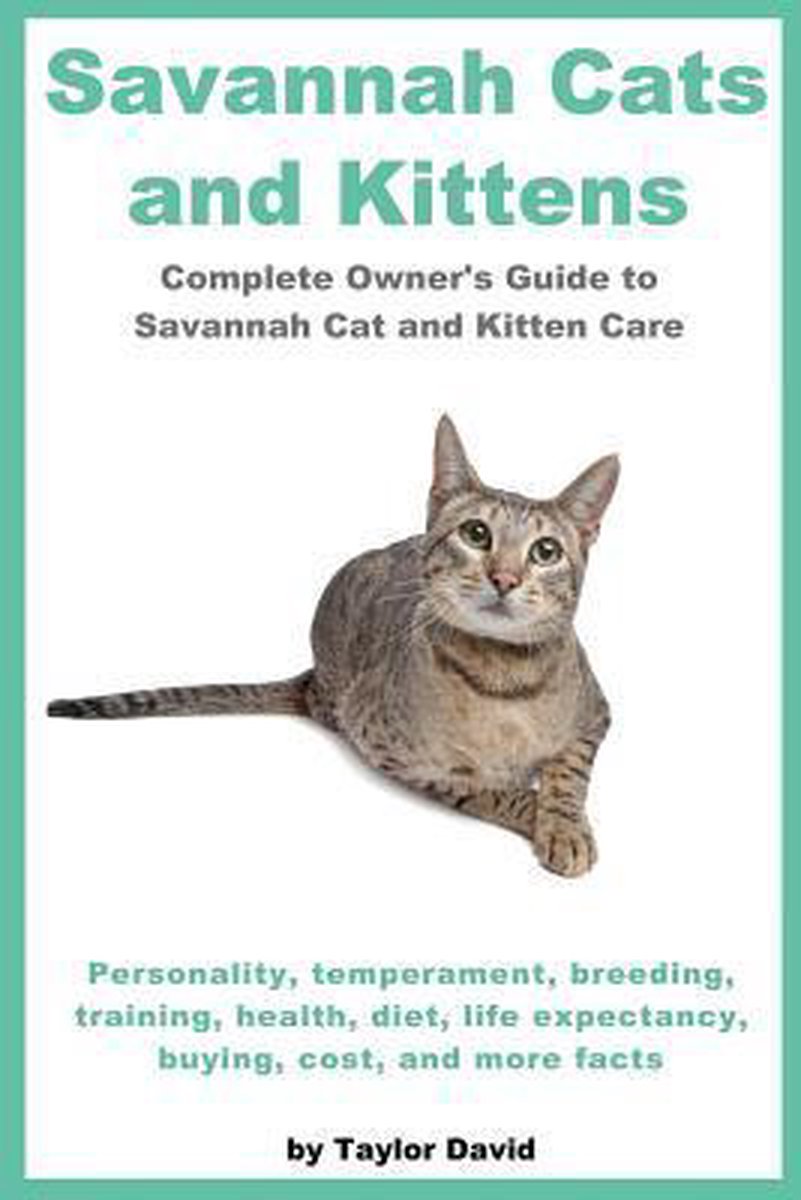 Savannah Cats and Kittens - Taylor David