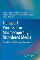 Transport Processes in Macroscopically Disordered Media