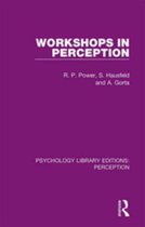 Psychology Library Editions: Perception - Workshops in Perception