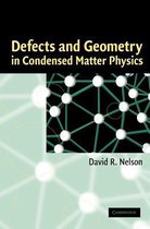 Defects and Geometry in Condensed Matter Physics