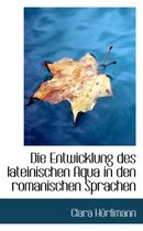 Die Entwicklung Des Lateinischen Aqua in Den Romanischen Sprachen