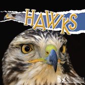 Raptors - Hawks
